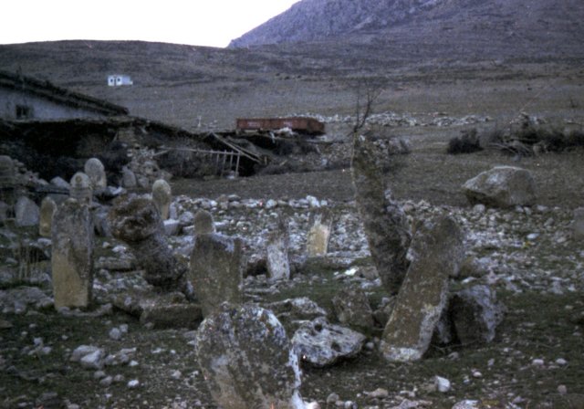 tur_1988_136m.jpg