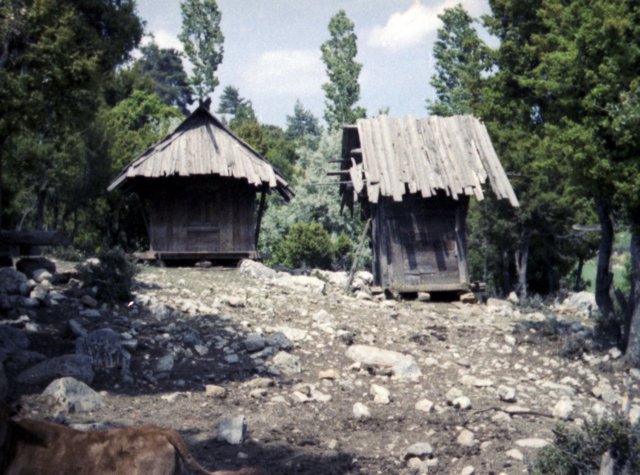 tur_1988_160.jpg