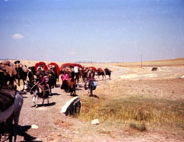 tur_1988_208.jpg