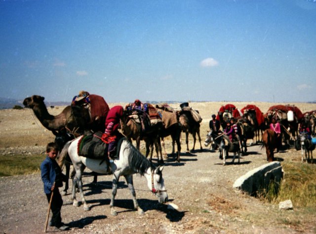 tur_1988_209.jpg