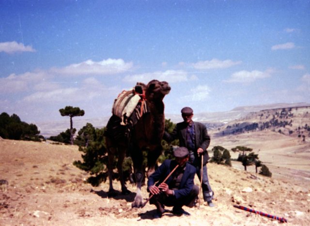 tur_1988_217.jpg